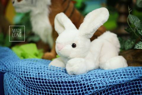 decoracao-eduardo-01-ano-mundo-magico-rio-das-ostras-marlon-nascimento-fotografia-macae-rio-de-janeiro'