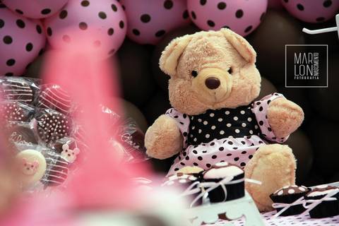 decoracao-aniversario-clara-tudoefesta-macae-riodejaneiro-marlon-nascimento-fotografia'