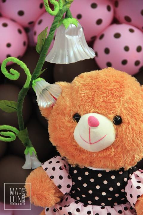 decoracao-aniversario-clara-tudoefesta-macae-riodejaneiro-marlon-nascimento-fotografia'