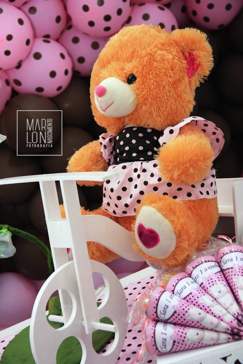 decoracao-aniversario-clara-tudoefesta-macae-riodejaneiro-marlon-nascimento-fotografia'