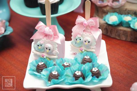 decoracao-aniversario-vitoria-05-anos-trapiche-marlon-nascimento-fotografia-macae-rj'