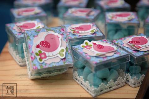 decoracao-aniversario-vitoria-05-anos-trapiche-marlon-nascimento-fotografia-macae-rj'