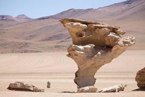 Árvore de Pedra na Bolívia '