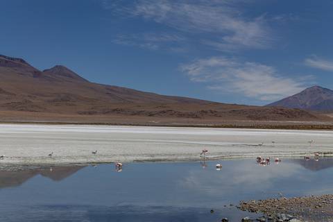 Lagoa no deserto de Atacama'