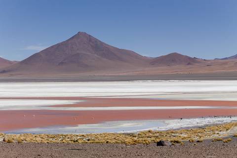 Reserva Andina Eduardo Avaroa '