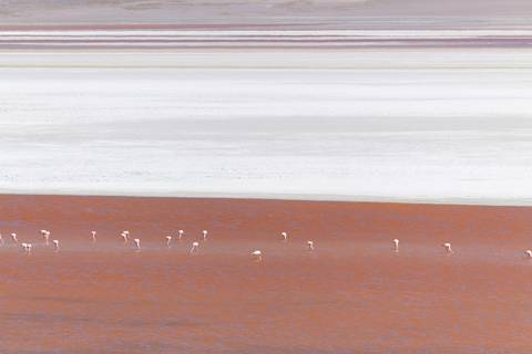 Lago colorido com flamingos'