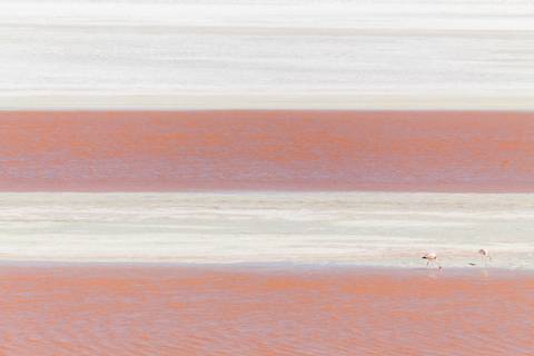 Lago colorido branco e rosa'