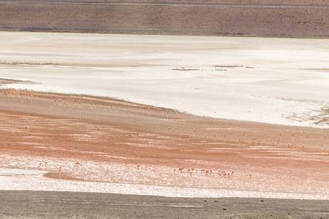 lagoa branca e rosa no deserto'