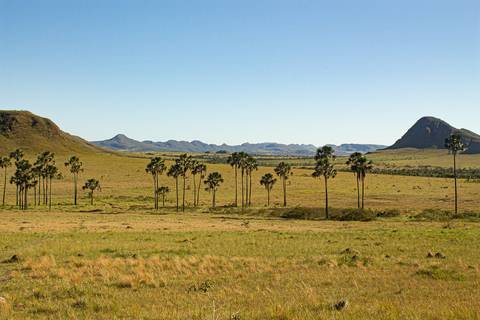 Jardim de Maytrea num dia de sol'