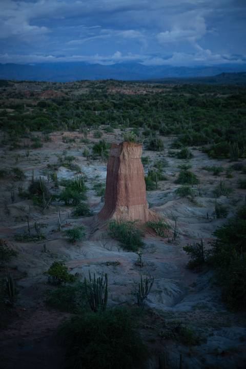 Pedra rochosa grande '