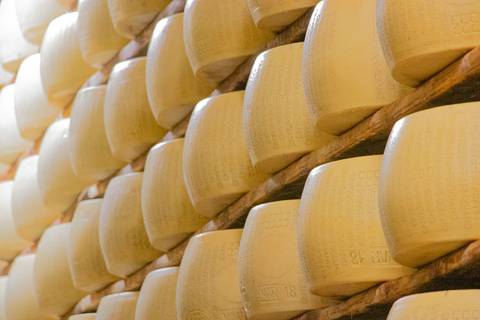 Detalhe da produção de queijo descansando em Parma DaLe'