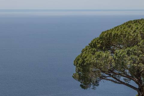 Vista da Villa Rufolo para o mar com árvore em Ravello na Itália '