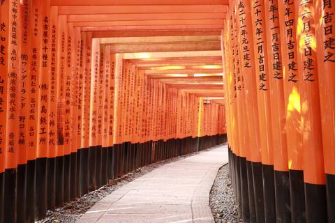 Pórtico do Fushimi Inari Shrine em Kyoto '