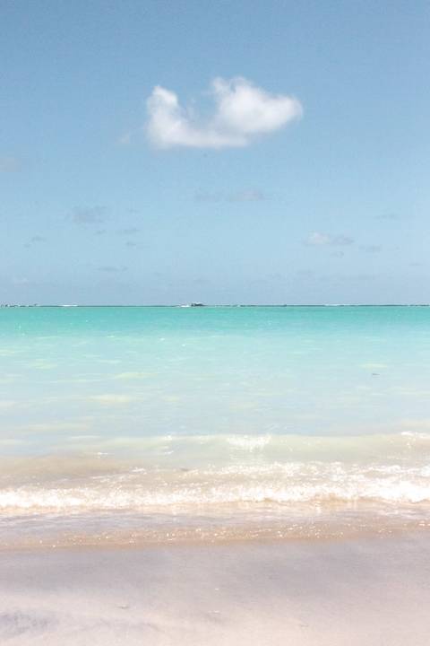 Foto do mar cor verde água '