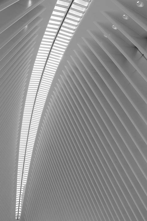 Arquitetura contemporânea do Calatrava em New York '