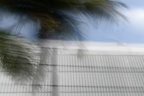 foto em longa exposição do Pavilhão da Bienal com coqueiro'