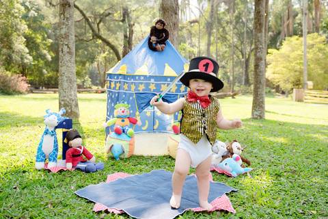 smash-the-cake-ensaio-1-ano-tema-circo'