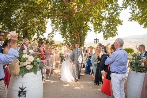 noivos a caminhar de mão dada enquanto são atiradas pétalas - casamento na Quinta da Pacheca'