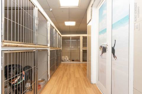 Foto interna da Clínica Veterinária CallVet.'