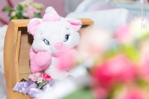 Festa infantil da Lorena, com tema da Gata Marie, realizada no Buffet Snow Place, em São Paulo.'