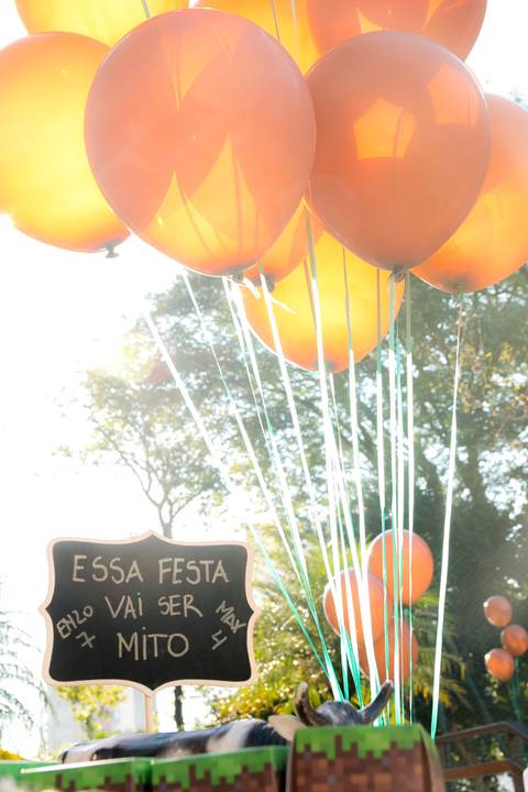 Festa infantil dos irmãos Enzo e Max, comemorando 7 e 4 anos na cidade de São Paulo.'