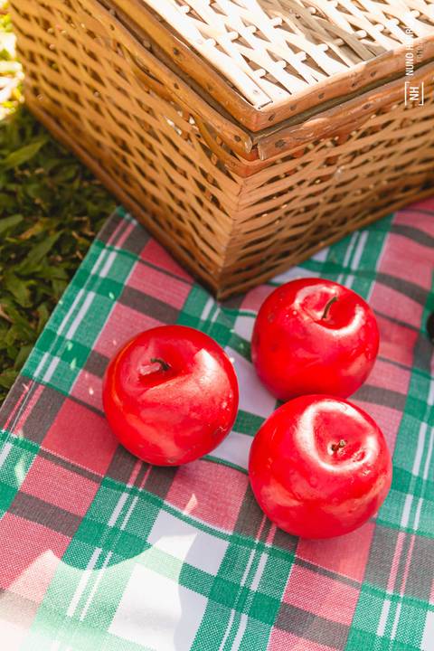 Smash the Cake da Izadora, feito no Parque Ibirapuera em São Paulo. Decoração por Les Parties.'