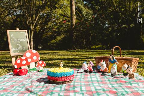 Smash the Cake da Izadora, feito no Parque Ibirapuera em São Paulo. Decoração por Les Parties.'