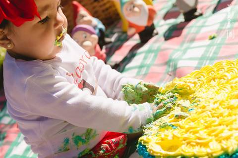 Smash the Cake da Izadora, feito no Parque Ibirapuera em São Paulo. Decoração por Les Parties.'