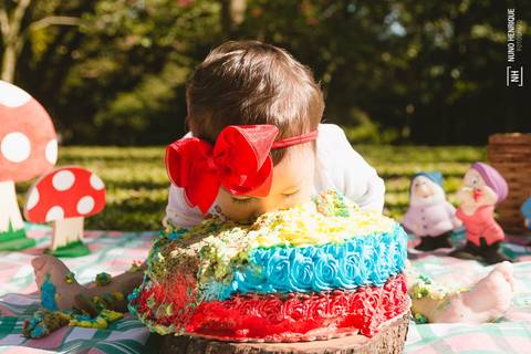 Smash the Cake da Izadora, feito no Parque Ibirapuera em São Paulo. Decoração por Les Parties.'