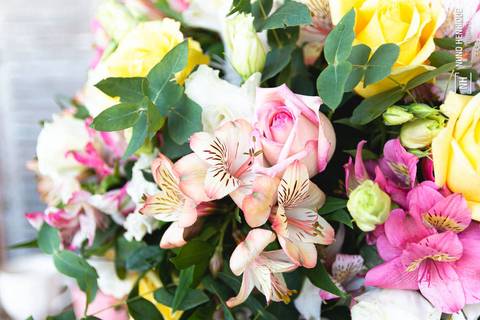 Casamento civil no cartório e festa de casamento da Giovana e Rogério no Espaço Flamboyant em Indaiatuba, interior de São Paulo.'