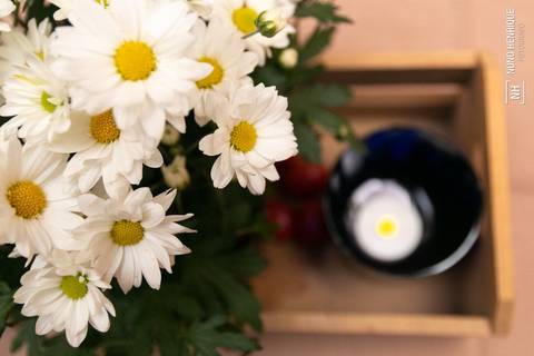 Festa infantil com toda a família reunida para celebrar do aniversário de 1 ano do Luigi.'