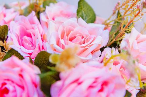 Festa de aniversário da Izadora'