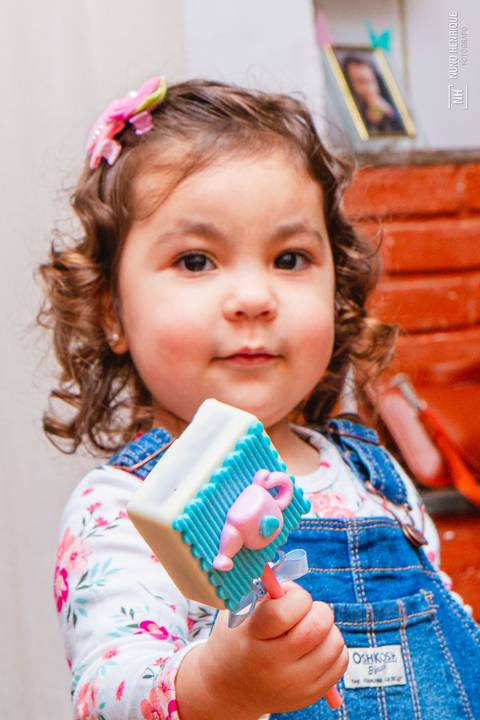 Festa de aniversário da Izadora'