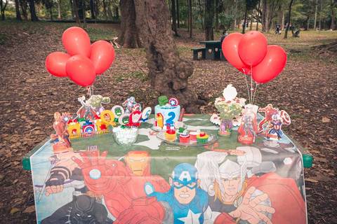 Festa de aniversário de 2 anos do Heitor Dechering com o tema dos Vingadores no parque Ibirapuera, em São Paulo.'