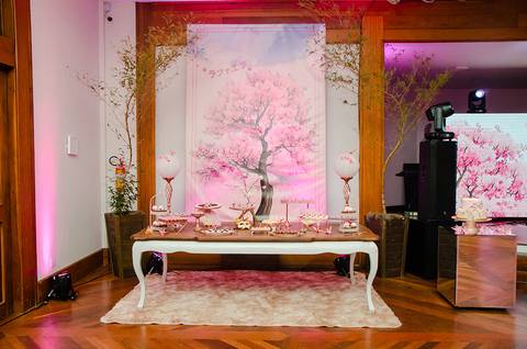 Decoração festa de 15 anos Rafaela junqueira AABB PORTO ALEGRE'