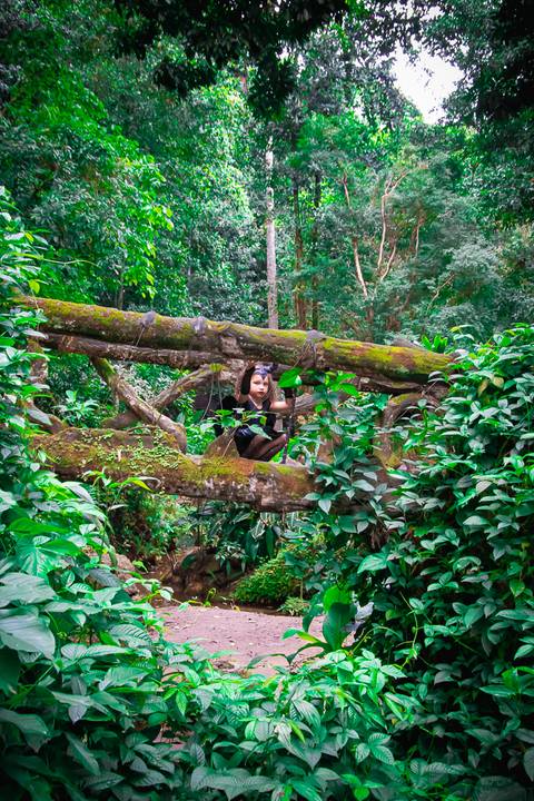 Ensaio fotográfico infantil Malévola Valentina  
Fotografia Wallace Nunes'