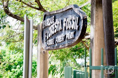 fotografos de teresina'