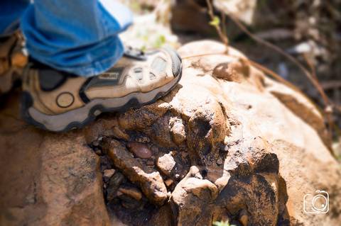 fotografo de casamento em teresina'