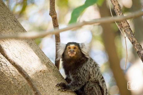 fotografia de familia teresina'