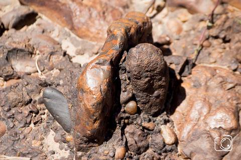 curso de fotografia em teresina'