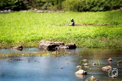 aniversario infantil teresina'