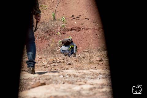 fotografos do piaui'