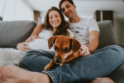 ensaio gestante, fotografia de gestante, fotos grávida, ensaio em casa, ensaio lifestyle, fotógrafo de gestante ES, Vila Velha, gravidez, amor em família, fotos naturais, gestação espontânea, ensaio com pet'