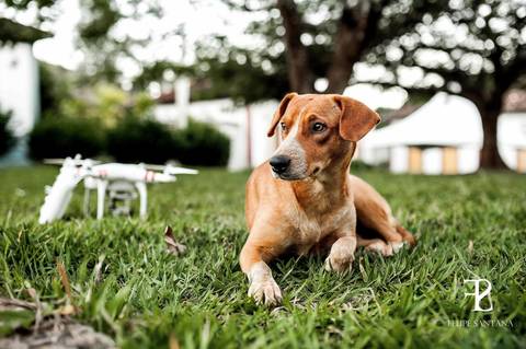 Fotografia de drone, fotografia aérea '
