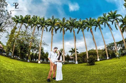 Fotografia de casal na grama perto de coqueiros '