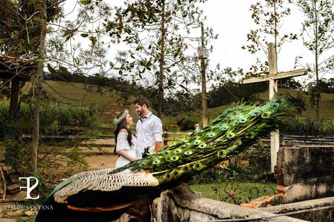 rabo de pavão, fotografia de casal em pré casamento com animais'