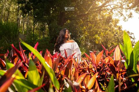 Book de 15 anos na floresta com flores laranjas'