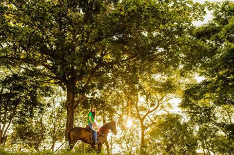 fotos de 15 anos no cavalo, fotografia de debutante em cataguases, book em cataguases, haras em cataguases'