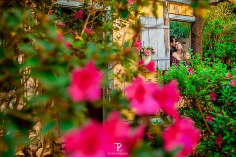 Pré Casamento Belo Horizonte Pré Wedding Fotos de Casal Fotografo Felipe Santana Cataguases'