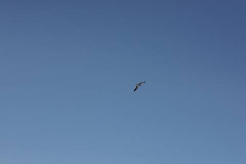 '
